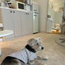 소중한eye 이미지