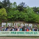 순천 나무숲 이미지