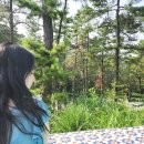 블랙트리하우스 | 영흥도 숲뷰 감성숙소 블랙트리하우스 블랙하우스2 내돈내산 찐후기