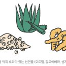 뿌리박물관 공중화장실 이미지