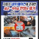 세덴 Daum카페