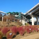 응봉체육공원 이미지