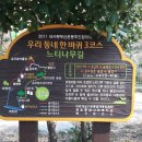금산교차로금산사거리 이미지
