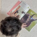 자연유아학교 | 자연관찰 유아전집 자연이알쏭 후기, 세이펜 호환 6세책추천