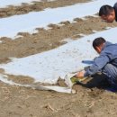 김포시농업기술센터 이미지