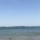 연포2020 이미지