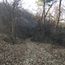 갯벌보러가는길 | 강화나들길 20코스-갯벌 보러 가는 길(2021.12.5)