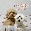 와락펫푸드 신메뉴 3종 후기