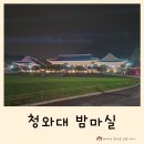 2025 청와대 밤마실 예약 주차 아이와 관람 후기