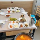 영광 굴비정식맛집 깔끔하고 정갈했던 애견동반가능 식당 천년미가