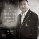 인셀덤축제대리점