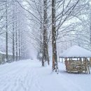 담양여행 이미지