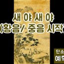 새야새야 이미지