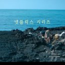 제주바다연 이미지