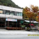 광산골식당 티스토리