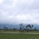 황산문화체육공원 국민여가캠핑장 이미지