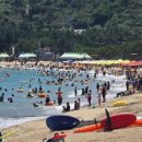 진하해수욕장 이미지