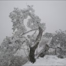 함양얼음 이미지