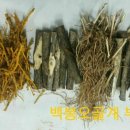 백봉오골계 부성농원 이미지