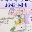 당신의 꽃그림 보테니컬 아트 이미지