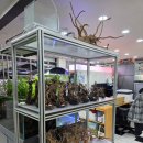 물속풍경수족관 이미지