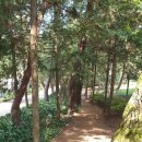 배산공원 주차장 이미지