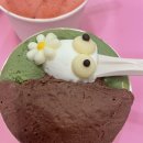 젤라잇