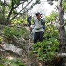 [금북정맥 12구간] 갈현고개~성왕산~윗갈치~비룡산~금강산~수량재~물래산~북창삼거리 이미지