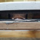 송내복사골뜨란채아파트 이미지