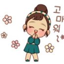 파노라마 제주 티스토리