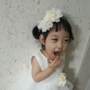체리피피 이미지