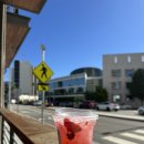 비버리힐즈 스위트 | 넘 좋았던 LA 호텔 후기 : 더 페닌슐라 베벌리힐스 The Peninsula Beverly Hills