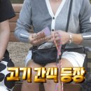 스카이개슬 이미지
