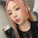 신스헤어 이미지