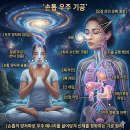 자율 공명 확산 이미지