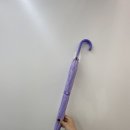 바비수앤 이미지