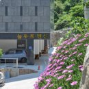 늘푸름펜션 이미지