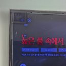 칠암문화센터(1182) | 더운 여름의 시작,