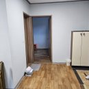 호랑나비세탁 네이버블로그