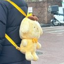 성백이엔씨(주) | 성수12월 팝업스토어 산리오 스위트 홀리데이 팝업 주말오픈런 후기