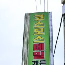 코스모스와 메밀가든 이미지