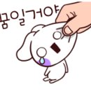아쿠아포레스트