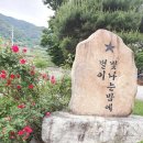 봉산면족구장 네이버블로그