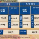 불동네슈퍼마켓 | 2025 겨울 오사카 여행 (3)