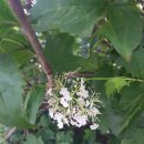 한림정역 이미지