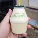 등대세탁소 | [보성 펜션]해돋이 명소 율포해수욕장 근처 가성비 좋은 보성 힐링펜션 후기!