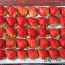 해담영농조합법인 이미지