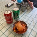 강릉 맛집 현지인도 추천하는 애견동반 가능한 금학칼국수 방문후기