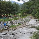 용오름캠핑장 이미지