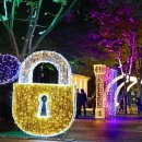 어쿠스틱 밴드(야간) 이미지